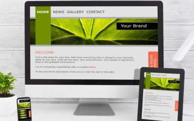 Why Business Needs A Website